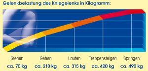 Gelenkbelastung & beanspruchte Gelenke