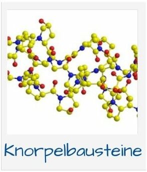 Knorpelbausteine