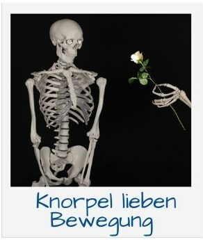 Knorpel lieben Bewegung